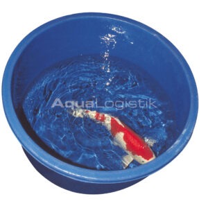 Koi-Inspektionswanne